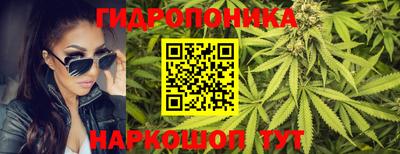 прущие крисы Тула